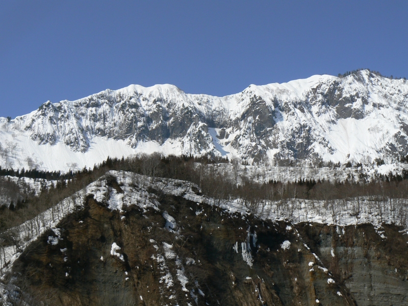 e0202393_6413769.jpg