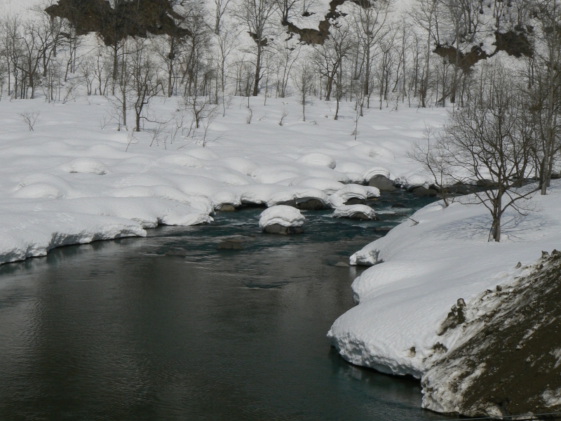 e0202393_6441842.jpg