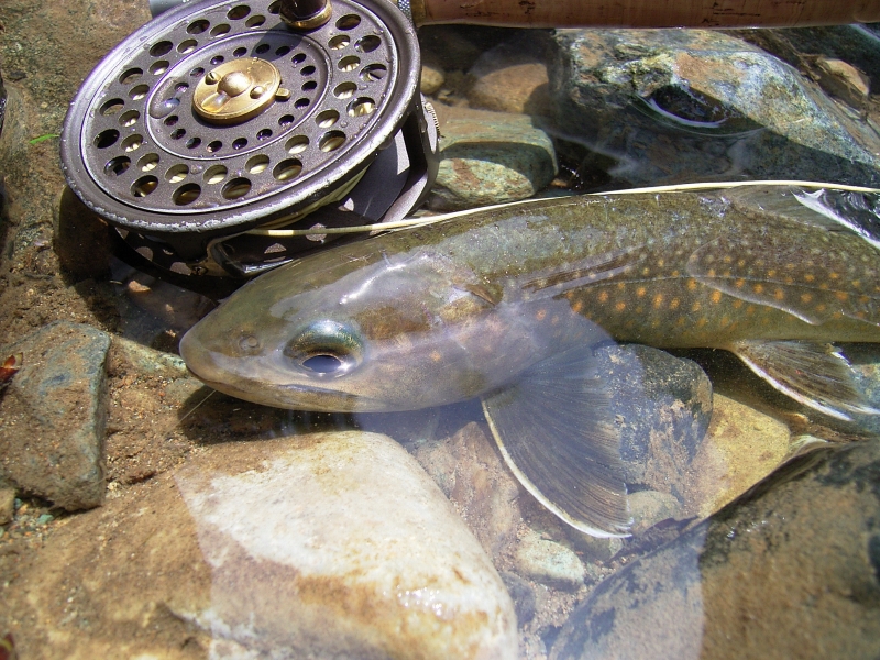 e0202393_6461394.jpg
