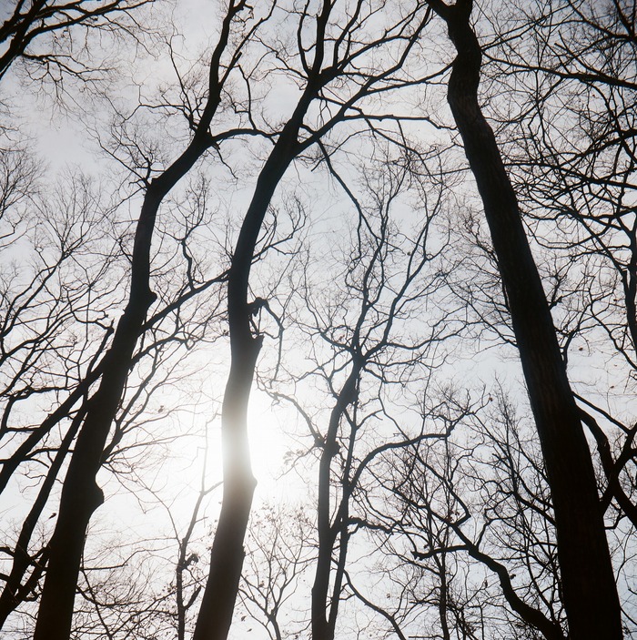 f0220698_21491975.jpg