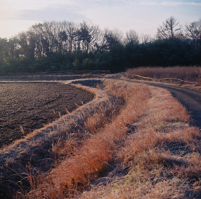 f0220698_21542479.jpg