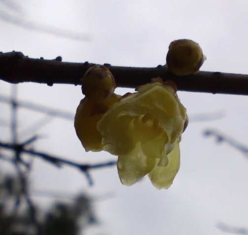 a0031000_21572970.jpg