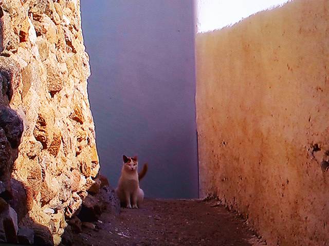 c0187403_1610446.jpg
