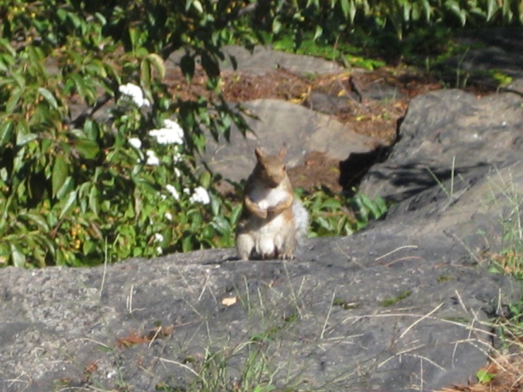 b0129705_0312035.jpg