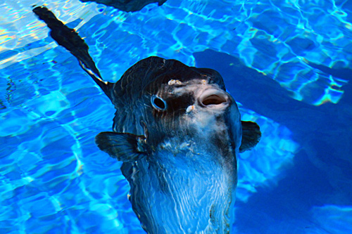 b0014607_1514532.jpg