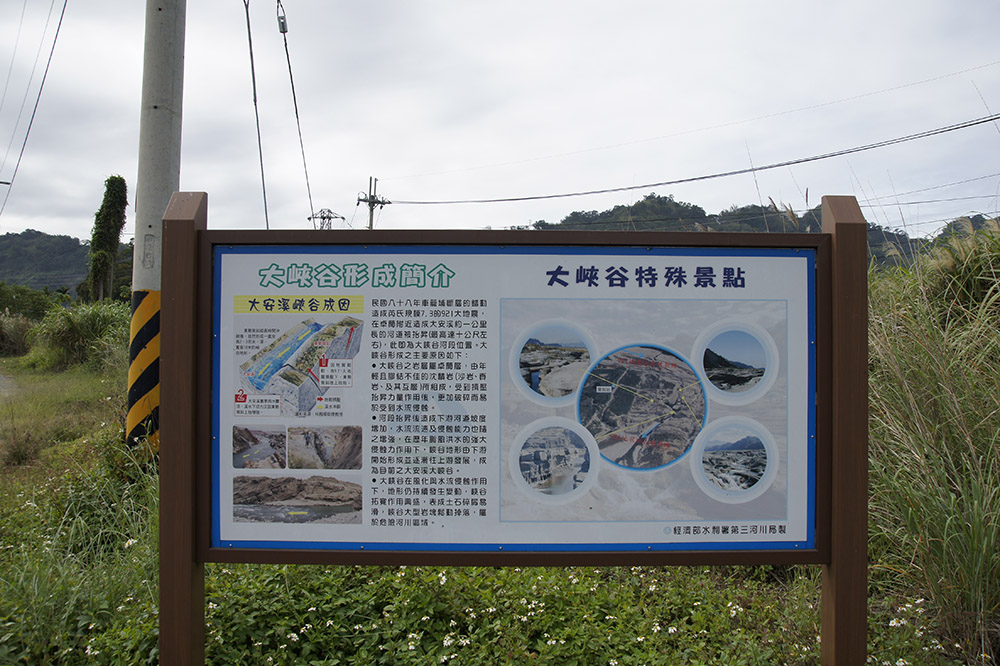 d0127529_13154175.jpg