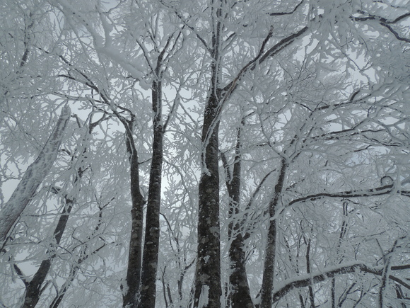 f0118332_20103611.jpg