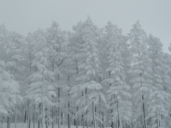 f0118332_20403761.jpg