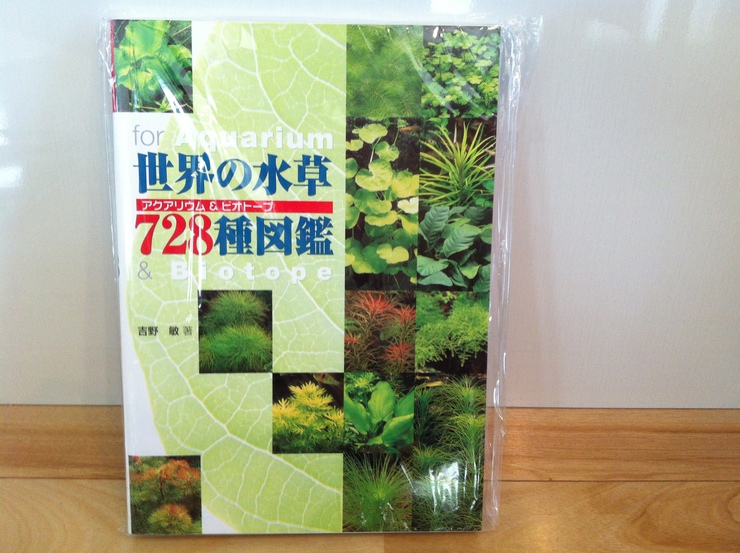 c0250835_9311231.jpg
