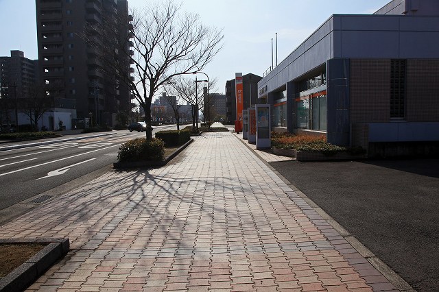 a0242438_1751294.jpg
