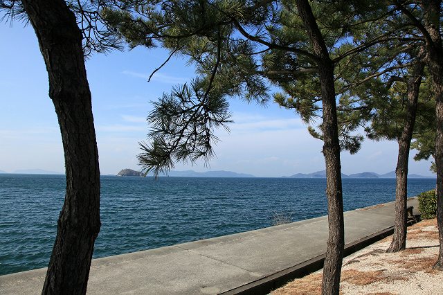 a0242438_17592839.jpg