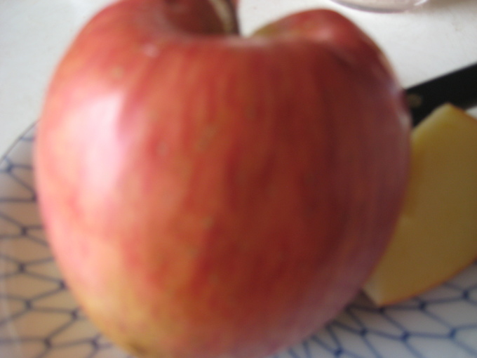 e0255638_1736231.jpg