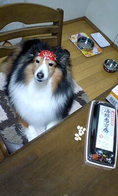 f0210439_123191.jpg