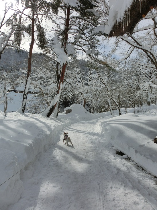 c0156345_23162844.jpg