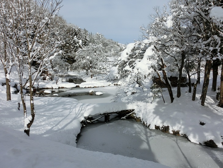 c0156345_23165250.jpg