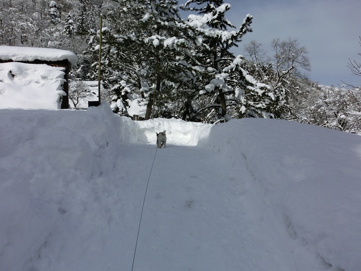 c0156345_23165758.jpg