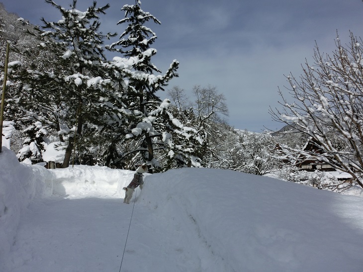 c0156345_2317281.jpg