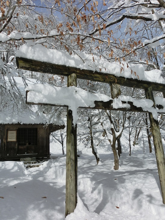 c0156345_23205017.jpg