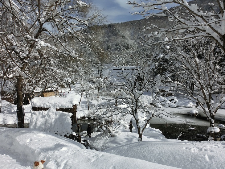 c0156345_232111100.jpg