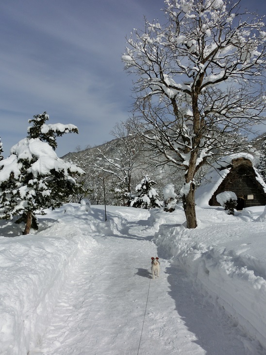 c0156345_23215100.jpg