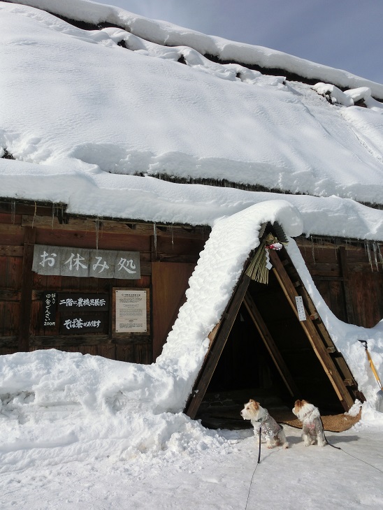 c0156345_23221413.jpg