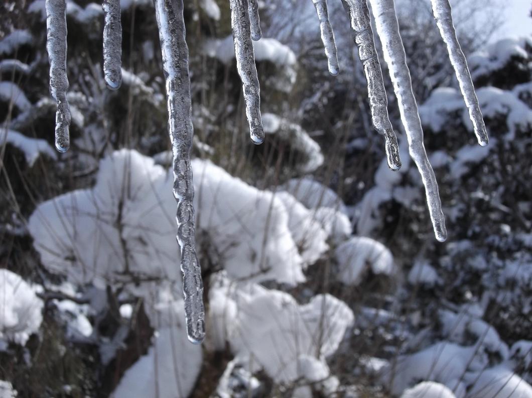 e0193247_20141748.jpg
