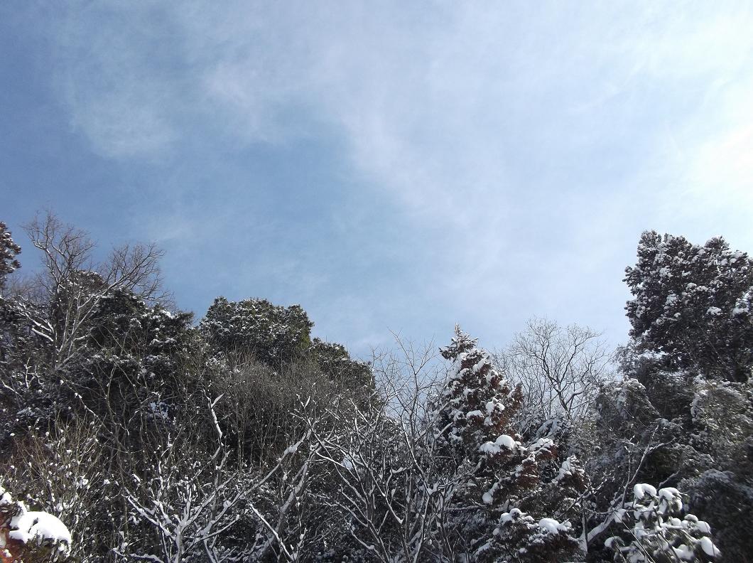 e0193247_20144526.jpg