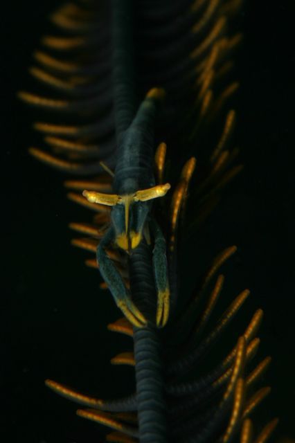 e0314451_12264313.jpg