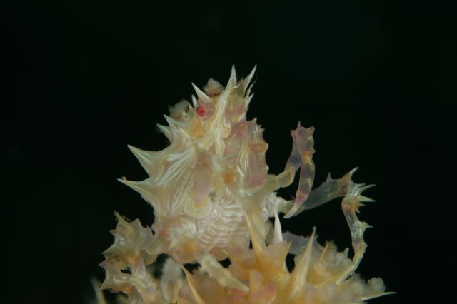 e0314451_12284864.jpg