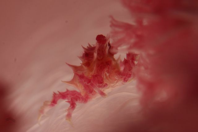 e0314451_12285576.jpg
