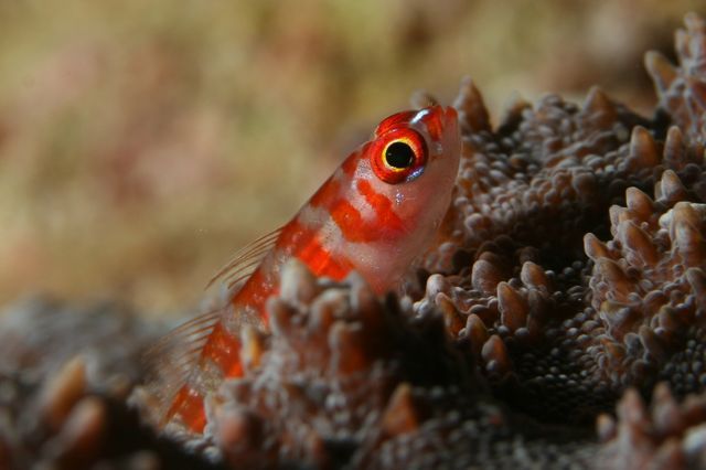 e0314451_12302240.jpg