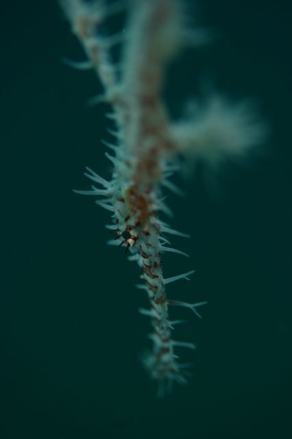 e0314451_12303284.jpg