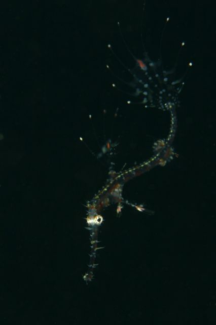 e0314451_12303997.jpg