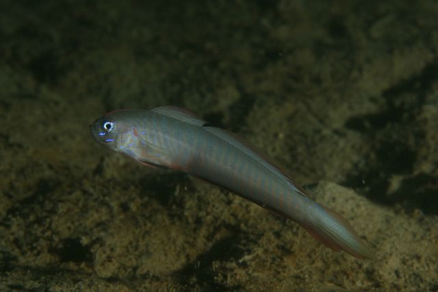 e0314451_12305659.jpg