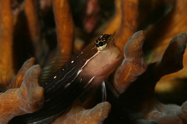 e0314451_12312063.jpg
