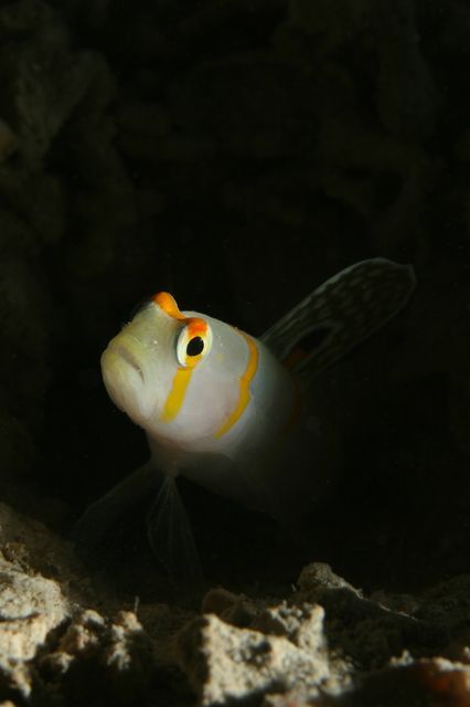 e0314451_12333680.jpg
