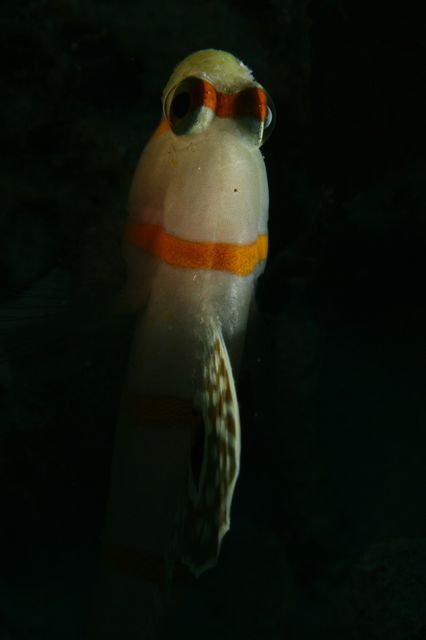 e0314451_12335410.jpg