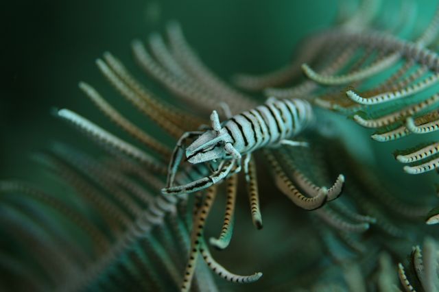 e0314451_12341073.jpg