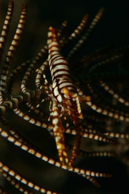 e0314451_123426100.jpg