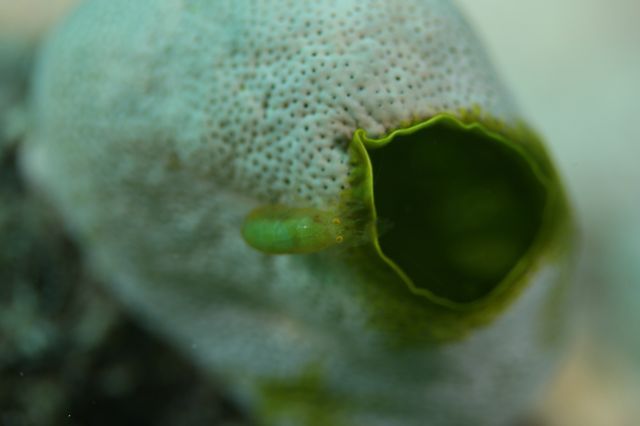 e0314451_12354267.jpg
