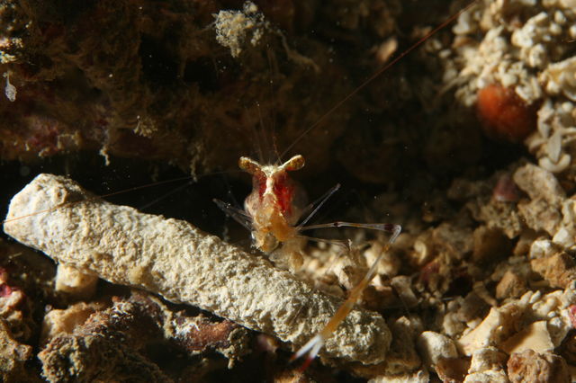 e0314451_12355126.jpg