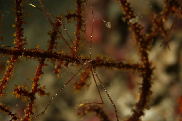 e0314451_12355986.jpg