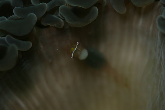 e0314451_12361691.jpg