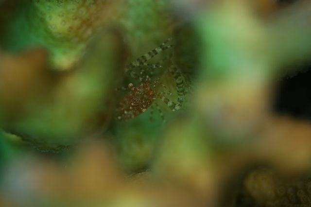 e0314451_12362569.jpg