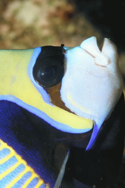 e0314451_16213159.jpg