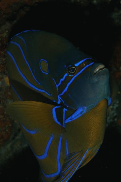 e0314451_16223486.jpg
