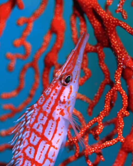 e0314451_1650673.jpg