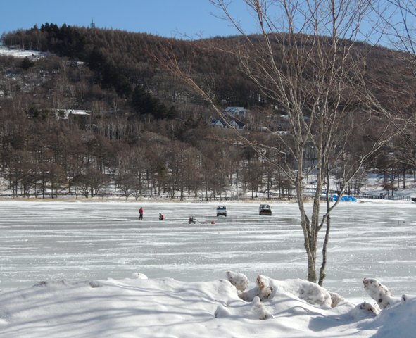 b0173754_101585.jpg