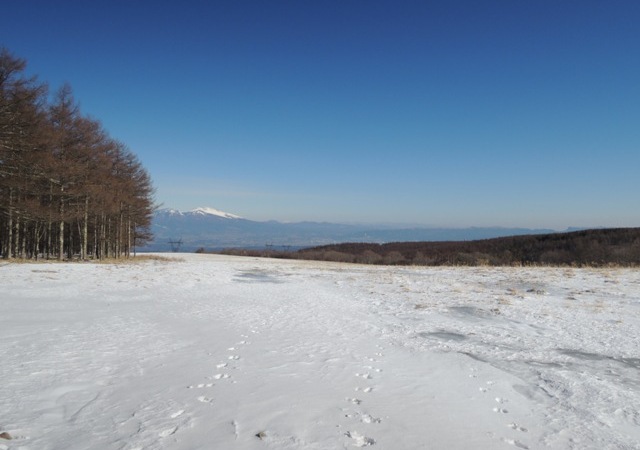 b0173754_9423054.jpg