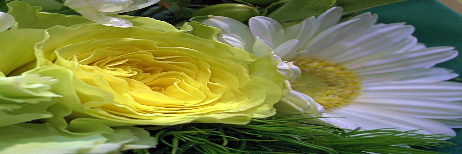 c0050857_1110449.jpg